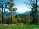 83 N Lure View Lane 51 sold home in Hendersonville, SC