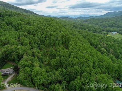 00 Red Bank Road sold land listing in Butler Hills, Waynesville, NC