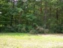 V L Fitipaldi Drive 85 sold home in Morganton, SC