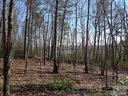 V L 64 Bear Cliff sold home in Nebo, SC