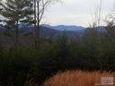 Lot 56 Black Forest Drive sold home in Marion, SC
