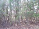 332 Springwood Drive Ne sold home in Valdese, SC