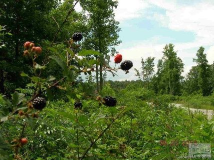 55 56 Blackberry Creek 5556