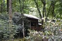 6503 Gingercake Road sold home in Newland, SC
