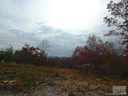 Area 1 Bear Cliff Drive sold home in Nebo, SC