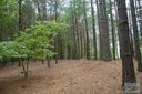 1111 Whispering Woods Road 32 sold home in Morganton, SC