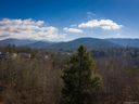 42 Governor Thomson Terrace 37 sold home in Weaverville, SC