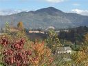Lot No 20 Frank Davis Road sold home in Waynesville, SC