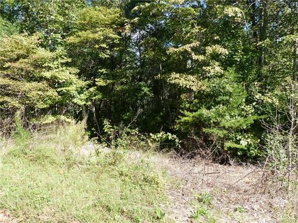 0 Greenhill Farms Drive 28 sold lot in Green Hill Farms, Rutherfordton, NC