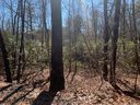 Lot J31 Galax Lane sold home in Brevard, SC