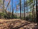 128 Twisted Tree Lane sold home in Brevard, SC