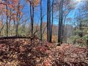 116 Green Hollow Lane sold home in Brevard, SC