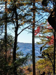 000 Emma Bri Lane F6 sold lot in Dogwood Mountain Estates, Hendersonville, NC