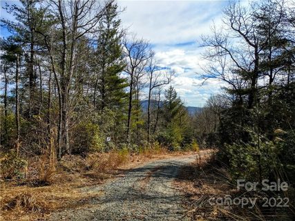 000 Emma Bri Lane active lot in Dogwood Mountain Estates, Hendersonville, NC