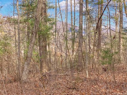 Lot 20 Bobcat Trail