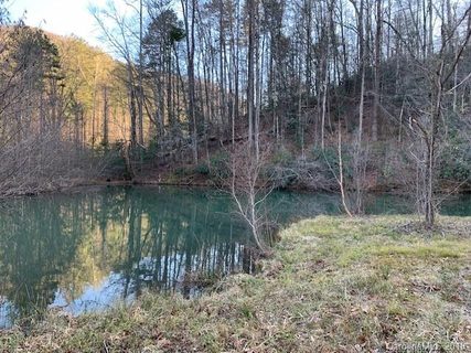 0000 Trillium Lane sold home in Three Creeks, Lake Lure, NC