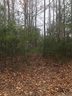 9999 N Ridgeview Hill Drive 57 sold home in Hendersonville, SC