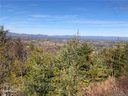 95 Balsamwood Drive 31 sold home in Leicester, SC