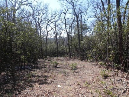 126 Dj Drive 327 sold land listing in Butler Mountain Highlands, Fairview, NC