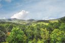 316 Mountain Laurel None sold home in Asheville, SC