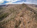 353 Black Bear Ridge Trail 29 sold home in Zirconia, SC
