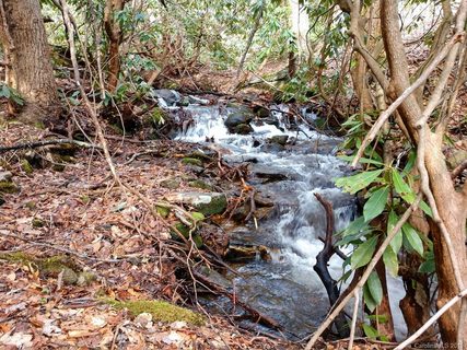Lot 19 Quail Cove Road