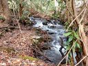 Lot 19 Quail Cove Road sold home in Clyde, SC