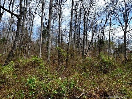 12443 Susanna Drive sold lot in Riverhaven, Charlotte, NC