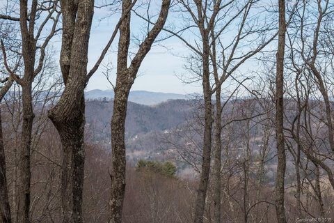 55 Mt Meadows Boulevard 27 sold home in Wildcat Cliffs, Asheville, NC