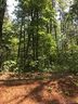 1396 Ron Whicker Drive sold home in Catawba, SC