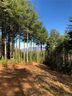 101 Hunt Camp Drive 59 sold home in Nebo, SC
