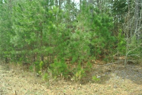 509 Holly Lane 20 sold lot in Cherry Hills, Chester, SC