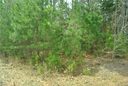 509 Holly Lane 20 sold home in Chester, SC