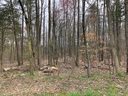 118 Berea Baptist Church Road 45 sold home in Stanfield, SC