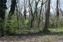 1709 Ravenswood Road sold home in Charlotte, SC