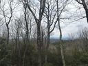 20 Toxaway Trail sold home in Lake Toxaway, SC