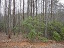 24 Grouse Ridge Drive sold home in Bostic, SC
