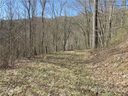 0 Running Bear Road sold home in Hot Springs, SC