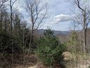 16 Mount Amy Road sold home in Black Mountain, SC