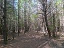 1412 Old Dry Creek Road 28 sold home in Morganton, SC