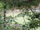 Lot 15 S Fairway Drive 15,16 sold home in Nebo, SC