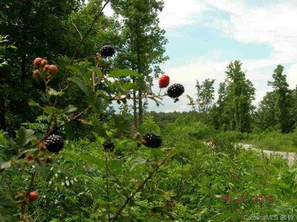 55 56 Blackberry Creek