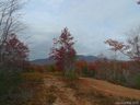 Area 1 Bear Cliff Dr sold home in Nebo, SC