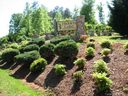 Lt 84 Vb Jill Dr Brindle Wood 84 VB sold home in Nebo, SC