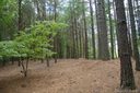 1111 Whispering Woods Road 32 sold home in Morganton, SC