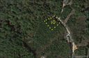 Lot 10 Gray Fox sold home in Marion, SC