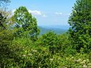 7075 Table Rock Road sold home in Newland, SC
