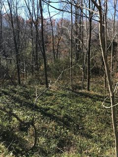 300 Randolph Road none sold commercial land in Glenwood, Marion, NC