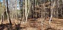 199 Windingwood Drive 10 sold home in Statesville, SC
