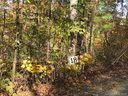 145 Floral Springs Drive sold home in Marion, SC